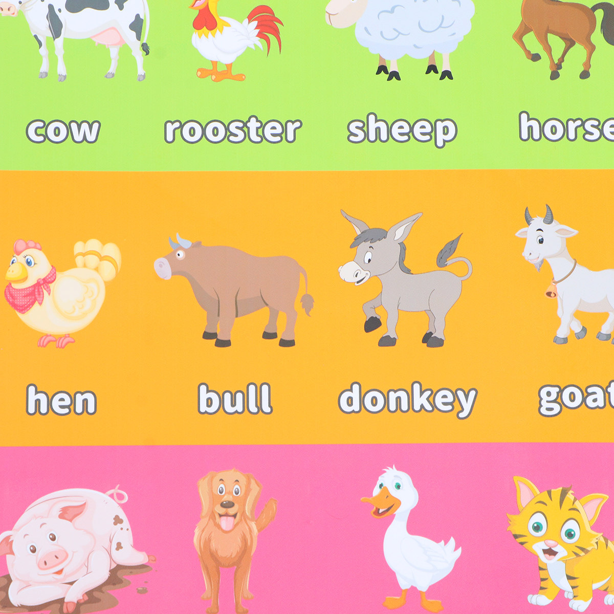 6 poster didattici con animali - Kids Education Number recensione e prezzo